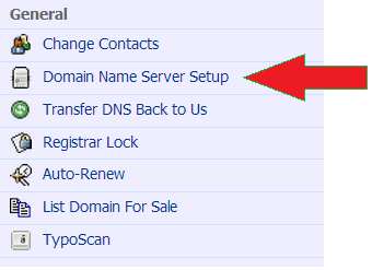 domain name server setup